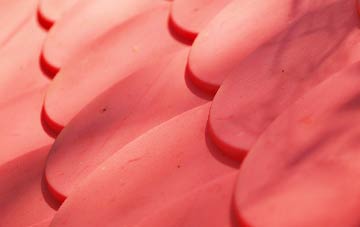 Frinsted plastic roof costs