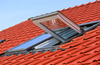 Frinsted roof window